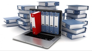 Функции органов исполнительной власти внесут в открытый реестр