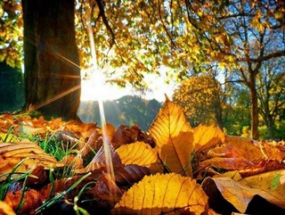 22-ноябрь күнги болатуғын ҳаўа райы ҳаққындағы мағлыўмат