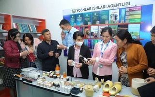 Эксперты из Японии и Кыргызстана делятся опытом развития малого и среднего бизнеса с предпринимателями Каракалпакстана