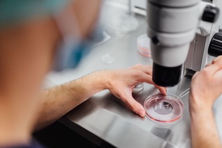 ЖССТ бу йил вабо эпидемияси авж олган мамлакатлар сонини маълум қилди