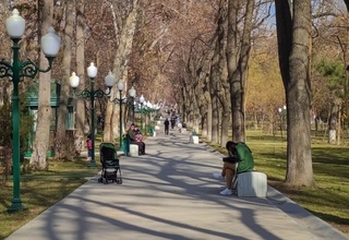 Hafta davomida quruq ob-havo boʻlishi kutilyapti