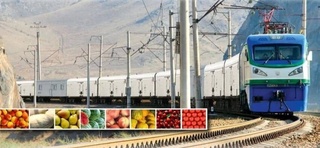 Россия и Узбекистан ускорят железнодорожные перевозки