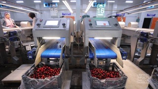 Ферганские фрукты поставляются на мировой рынок в соответствии с международными стандартами