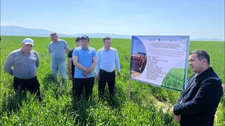 В Камаши проведен «День поля»: практическое применение технологии No-Till и ресурсосберегающих методов земледелия