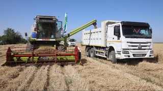 Зерном наполнится хирман