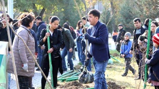 Основы формирования экологического воспитания в общеобразовательных учреждениях