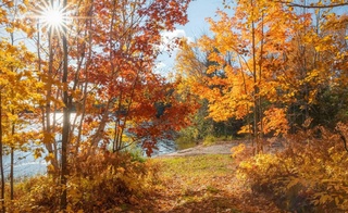 Weather forecast for October 6th