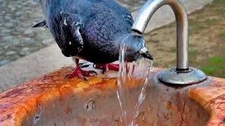 Пешгӯии обу ҳаво барои 16 июл