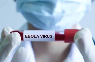 Исследование: вирус Эбола может попасть в Европу в течение месяца