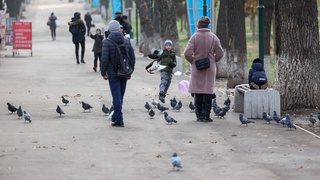 Дам олиш кунлари совуқ антициклон таъсири сақланиб туради