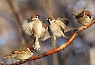 Прогноз погоды на 24 января