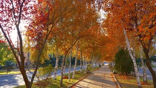 10 октябрь кунги об-ҳаво маълумоти эълон қилинди