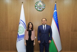 Uzbekistan discusses prospects for cooperation with American universities
