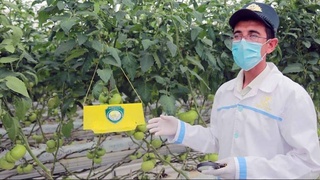 Карантин растений: без угрозы сельскому хозяйству и профессиональной репутации