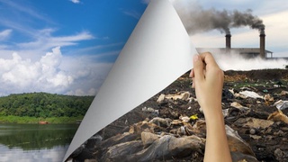 Норуда материалларни ноқонуний қазиб олишда табиий объектларга етказилган зарарни ҳисоблаш тартиби тасдиқланди