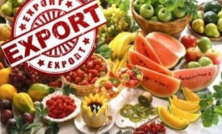 “Ўзагросуғурта” экспортни қўллаб-қувватлайди