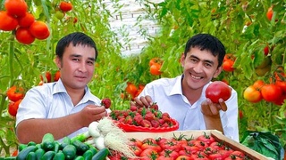 Поддержать достойнейших