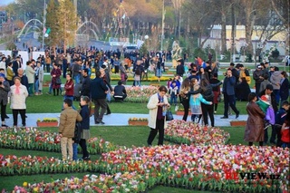 ТОП 10 шаҳрҳои сераҳолии Ӯзбекистон