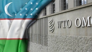 Финальные переговоры — решающий этап интеграции в мировую торговую систему