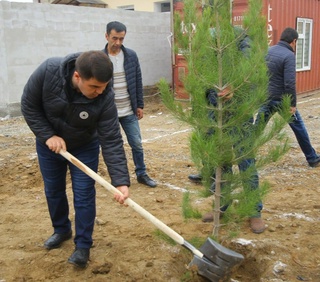 Namangan viloyati va shahar hokimlari hashar munosabati bilan “Bunyodkor”da koʻchat oʻtqazishdi