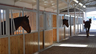 Отасининг қароридан норози бўлган ўғил отхонага ўт қўйди