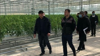 Қишлоқ хўжалиги вазири: гидропоника усулидаги иссиқхоналар ер танламайди