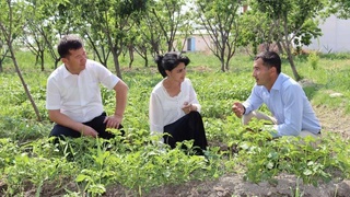 Домашний бизнес на удобрениях