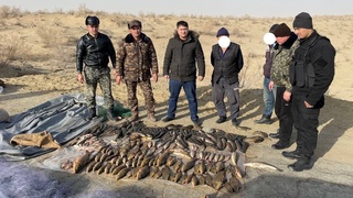 Табиатга 33 696 000 сўм зарар етказилгани аниқланди