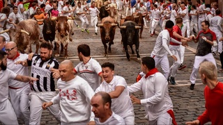 Испанияда бу йилги биринчи буқалар билан пойгада олти киши жароҳатланди