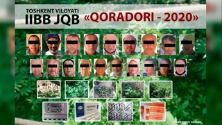 Тошкент вилоятида 52 кг дан зиёд наркотик модда қўлга олинди