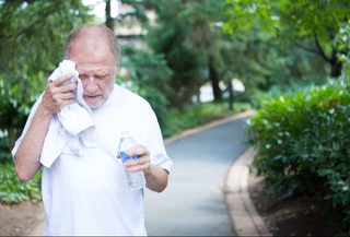 Обнаружено разрушительное воздействие жары на печень и мозг