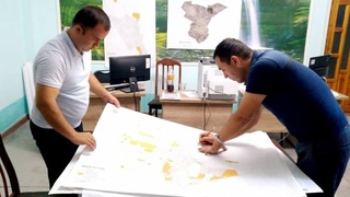 Составляется организационный план на местах, где намечено проведение пробной переписи населения