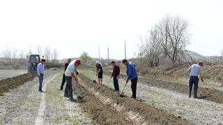 В элитных семеноводческих хозяйствах  высевают семена тыквы из Таджикистана
