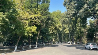 Oʻzgidromet bir haftalik ob-havo bashoratini elon qildi