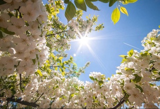 Синоптики рассказали, каким будет первый месяц весны 2025 года