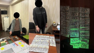 Самарқандда фуқароларни Европа ва АҚШга жўнатмоқчи бўлган шахслар ушланди