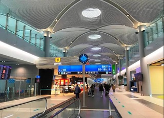 Turkiyada ogʻir ahvolda qolgan voyaga yetmagan fuqaro Oʻzbekistonga qaytarildi