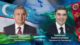 Shavkat Mirziyoyev holds a phone call with Gurbanguly Berdymuhamedov