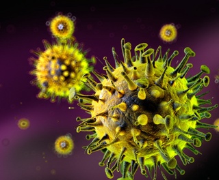 Коронавирус келтириб чиқарадиган пневмония аввал маълум бўлган атипик пневмониядан нимаси билан фарқланади?