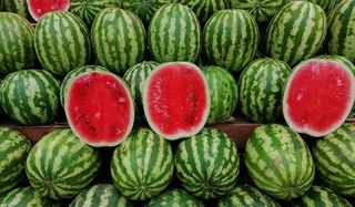 Экспорт арбуза из Узбекистана: рекордные объемы уже в начале сезона