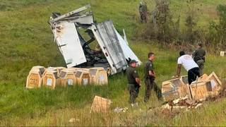 АҚШда хавфли вирусларга чалинган лаборатория маймунлари қочиб кетди