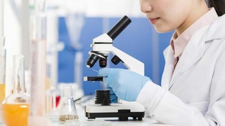 Образованные женщины - золотой фонд народа