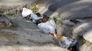 Жолды тазалап атырған қыз ямаса ықлым өзгермекте, неге биз өзгермеймиз?!