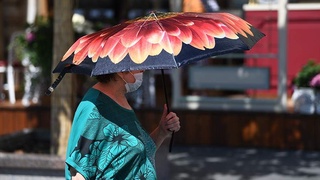 “Ёзда кузатиладиган иссиқ ҳаво ҳароратининг коронавирус мутациясига ҳеч қандай таъсири йўқ” — биолог