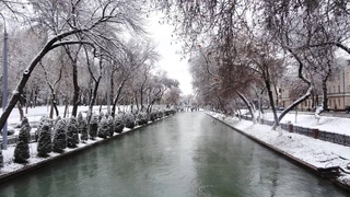 Пешгӯии обу ҳаво барои 12 декабр