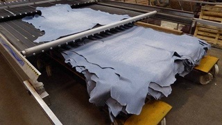 Динамичное развитие кожевенной промышленности - весомый вклад в экономику страны