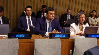 Узбекистан принимает участие в форуме ООН по лесам