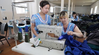 Дорогу осилит идущий: истории успеха соотечественников