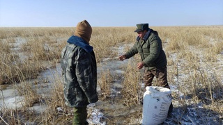 В прибрежных территориях природных водоемов Айдаркуль и Шуркуль Навоийской области провели акцию «Помоги птицам зимой»