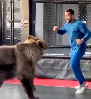 Минэкологии расследует инцидент с боксером Шахрамом Гиёсовым, который тренировался с медведем